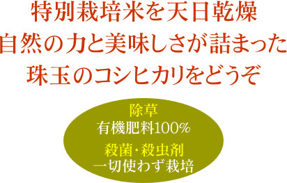 新潟県認証特別栽培米