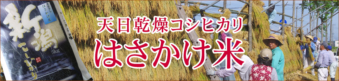 天日乾燥米 はさかけ米 新潟コシヒカリの通販 どっこん水