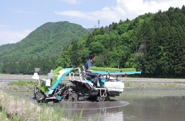 新潟県胎内市で農産物を栽培