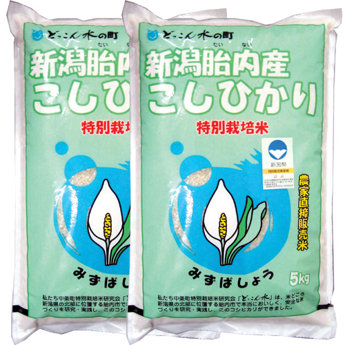 みずばしょう 玄米 10kg