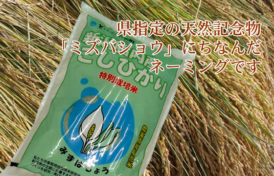 新潟コシヒカリ 25kg(玄米・白米) の通販 | どっこん水